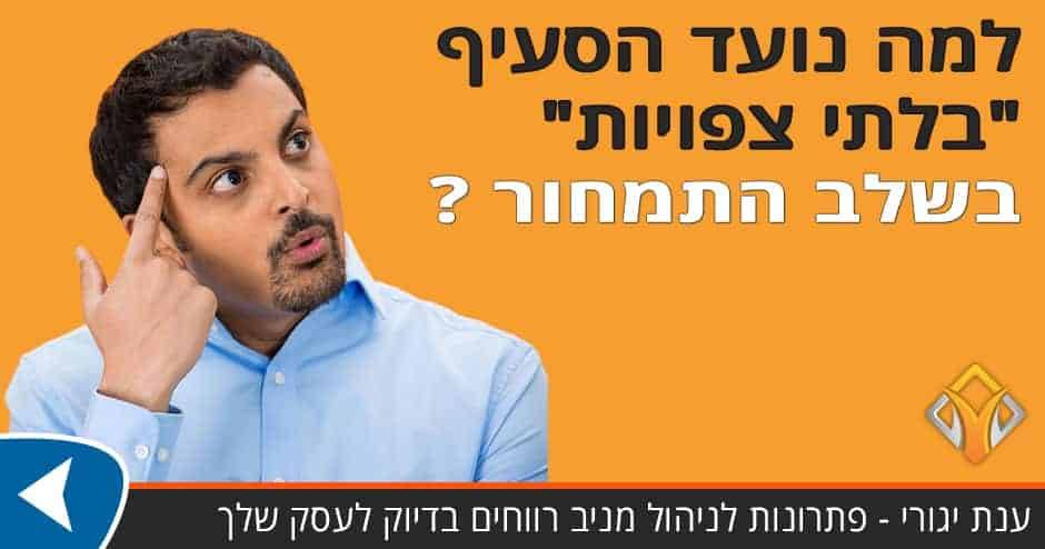 ייעוץ עסקי | סעיף "בלתי צפויות" בשלב תמחור