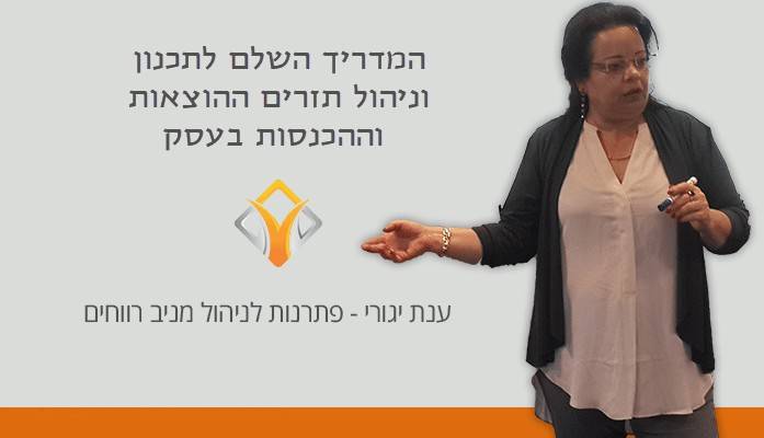 ייעוץ עסקי | המדריך השלם לתכנון וניהול תזרים ההוצאות וההכנסות בעסק