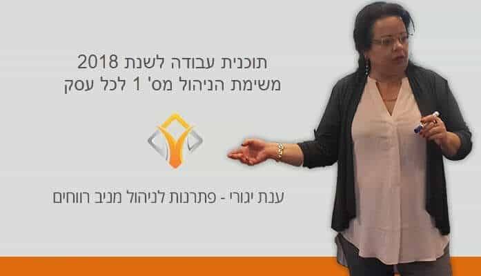ייעוץ עסקי | תוכנית עבודה לשנת 2018 - משימת ניהול מס' 1 לכל עסק