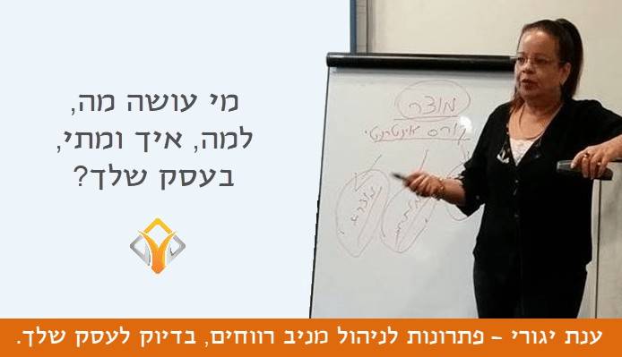 ייעוץ עסקי | מי עושה מה, איך ומתי בעסק שלך
