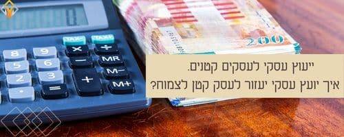 ייעוץ עסקי לעסקים קטנים