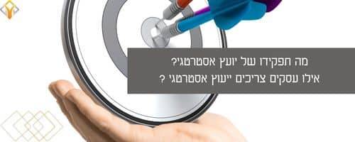 יועץ אסטרטגי